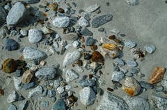 Schöne Steine, eingebettet im «Sandstrand» beim Grimselsee. (Bild: Grimsel, Marianne Schmid (9. September 2018))
