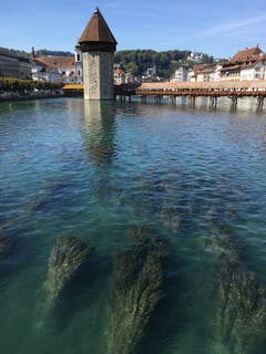 Niedrigwasser der Reuss eröffnet ganz neue und attraktive Fotosujets. (Bild: Verena Amacher (Luzern, 11. September 2018))