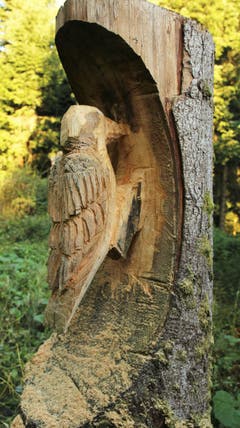 Kunst im Wald beim Wallberg. (Bild: Irene Waller (Ebersecken, 11. September 2018))