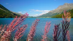 Blick von Sils Maria auf den Silvaplanersee. (Bild Stefan Kunz (Meggen, 12. September 2018))