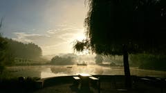Mystische Morgenstimmung am Hauptwilerweiher in Hauptwil. (Bild: Anita Allenspach)