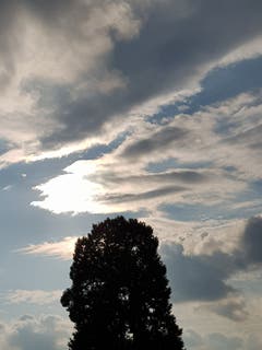 Eine Linde im Wolkenspiel in Gossau (Bild: Reto Schlegel)