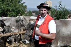 100 Jahre Braunviehschau in Schönholzerswilen. (Bild: Donato Caspari)