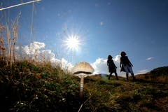 Wanderlust im Herbst (Bild: Paul von Allmen)