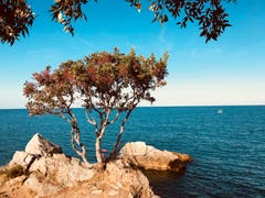 Am Fusse des Olymp. (Bild: Helene Gosswiler (Stomio, Griechenland (21. September 2018))