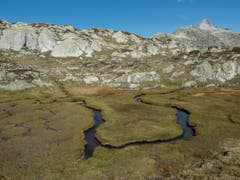 Herbstliches Labyrinth. (Bild: Theres Nussbaumer (Grimsel, 21. September 2018))