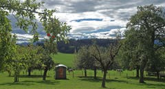 In Erwartung der Herbststürme. Herbstwetter auf dem Tannenberg. (Bild: Walter Schmidt)