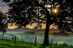 Sonnenaufgang bei Hinterhof, Herisau. (Bild: Luciano Pau)