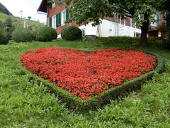 Blumen sagen oft mehr als Worte; «Ech schänkä dier mis Härz, meh hani ned!» Aufgenommen zwischen Kehrsiten und Stansstad. (Bild: Margrith Imhof-Röthlin (23. September 2018))