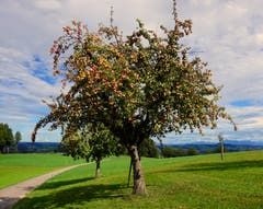 Tolles Sonntagswetter mit Fernsicht. (Bild: Josef Müller (Willisau, 23. September 2018))