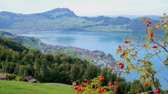 Auf dem Wanderweg Emmetten-Beckenried blicken wir auf den Vierwaldstättersee und nach Beckenried und Ennetbürgen. (Bild: Regula Aeppli (Emmetten, 22. September 2018))