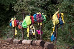 Sogar eine eigene Garderobe haben die Kinder in ihrem Wald in Meggen. (Bild: Pius Amrein, Meggen, 24. September 2018)