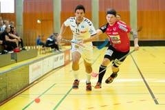 Zugs Simon Abt (links) im Kampf um den Ball mit Kevin Berry. (Bild: Roger Zbinden, (Zug, 22. September 2018))