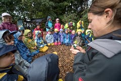 Auch das Stillsitzen im Kreis soll geübt sein. (Bild: Pius Amrein, Meggen, 24. September 2018)