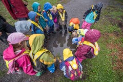Das Wetter in Meggen meint es heute mit den Kindern nicht gut. Dafür gibt es für sie die Möglichkeit, Kulturen in Pfützen anzuschauen. (Bild: Pius Amrein, Meggen, 24. September 2018)