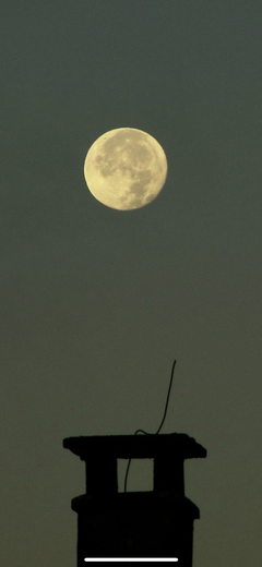 Der Mond geht unter. (Bild: Harald Hentschel (Rothenburg, 26. September 2018))