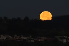 Vollmonduntergang über Sempach. (Bild: Xaver Husmann (Sempach, 25. September 2018))
