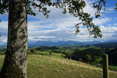 Spätsommerabend auf dem Wellberg ob Grosswangen. (Bild: Isidor Rösch (Grosswangen, 23. September 2018))