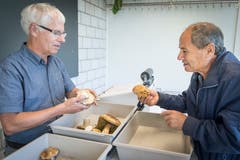 Diesem Sammler ist es gelungen, fast anderthalb Kilo Steinpilze zusammenzutragen. Fündig wurde er auf der Schwägalp. (Bild: Ralph Ribi)