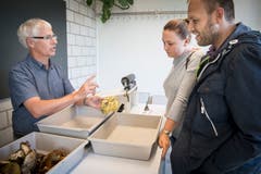Ein Paar mit grosser Beute: Leider ist ein Drittel der Hexenröhrlinge, die sie in die Kontrolle gebracht haben, nicht geniessbar. (Bild: Ralph Ribi)