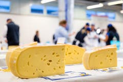 Die Lochung eines Käses spielt in die Bewertung hinein. (Bild: Philipp Schmidli, 28. September 2018)