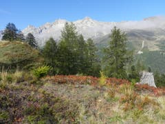 Herbststimmung auf der Strada Alta. (Bild: Anton Husistein, 26. September 2018)