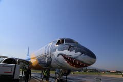 Dieses Flugzeugmodell, die E190-E2 des Brasilianischen Flugzeugbauers Embraer, soll schon bald regelmässig vom Flugplatz Altenrhein abheben. (Bild: Vivien Huber)