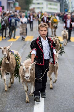 (Bild: Nadia Schärli (Schüpfheim, 29. September 2018))