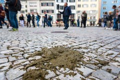 Bild: Christian Regg