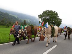 Alpabzug in Oberdorf (Bild: Claudia Scheubert, 29. September 2018))
