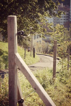 Herbstliche Stimmung. (Bild: Larisa Gheorghe (Luzern, 29. September 2018))