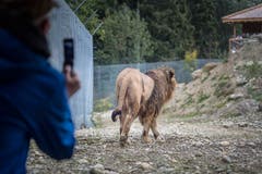 Auch ein schöner Rücken kann entzücken.
