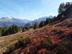 Wunderbare Landschaft auf der Moosalp. (Bild: Bruno Ringgenberg, 29. September 2018)