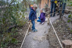 Löwenspuren auf dem Erlebnispfad entlang des neuen Aussengeheges. Für Kinder gibt es dort einiges zu entdecken.