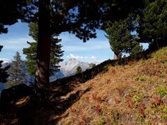 Zwischen der Moosalp und Bürchen begegnet dem Wanderer diese schöne Natur. (Bild: Bruno Ringgenberg, 29. September 2018)