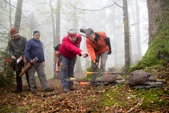 Urs Bürli, Hansruedi Schorno, Alice Zimmermann und Vreni Kunz (von links) schauen sich die Treffer an. (Bild: Philipp Schmidli (Mörlialp, 29. September 2018))