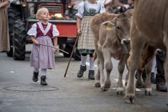 (Bild: Nadia Schärli (Schüpfheim, 29. September 2018))