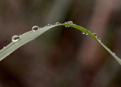 Ein Regentag im Hudelmoos. (Bild: Hans Adelmann)
