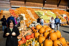 Die Ausstellung ist noch bis Ende Oktober täglich geöffnet. (Bild: Philipp Schmidli (Rothenburg, 30. September 2018))