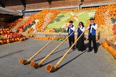 In Bürlimoos fand wieder die grösste Kürbisausstellung der Schweiz statt mit einzigartigen Exemplaren und Folklore. (Bild: Xaver Husmann (Rothenburg, 30. September 2018))