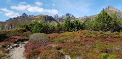 Wunderbare Herbstwanderung ob Arnisee. (Bild: Helen Wiser, 29. September 2018)