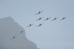 Das PC-7 Team fliegt über die «Uri 18». (Bild: Urs Hanhart, Altdorf, 8. September 2018)