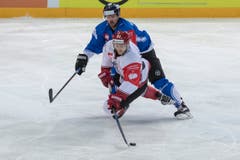 Der Zuger David McIntyre (hinten) von Zug und Alexander Malyavko von Grodno im Duell. (Bild: Keystone/Urs Flüeler (Zug, 8. September 2018)).
