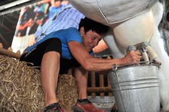 Superzehnkampf: Die ehemalige Race-across-America-Siegerin Trix Zgraggen beim Kuhmelken. (Bild: Urs Hanhart, Altdorf, 9. September 2018)