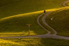 Chapfrunde am Abend, Freudenberg, Chapf. (Bild: Christian Wild)