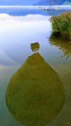 Was im Aegerisee so alles schwimmt?! (Bild: Priska Arnold, 9. September 2018)