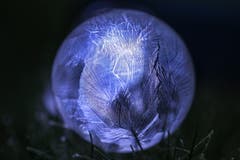 Eine gefrorene Seifenblase. (Bild: Petra Jung (Hämikon, 1. Januar 2019)