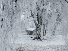 Winterliche Landschaft in Montlingen. (Bild: Toni Sieber)