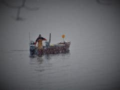 Berufsfischer fischen auch bei Schneetreiben, so wie hier in Meggen. (Bild: Margrith Imhof-Röthlin, 10. Januar 2019)