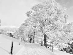 Eine bezaubernde Winterlandschaft auf der Rigi. (Bild: Markus Brülhart (10. Januar 2019))